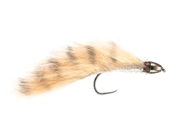 Competition CH Zonker Tan Barred TG