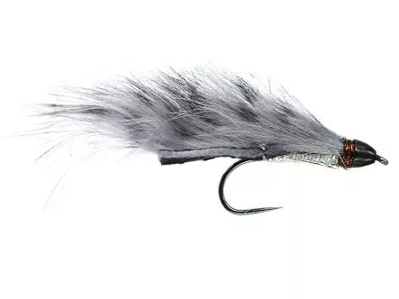 Competition CH Zonker Grey Barred TG