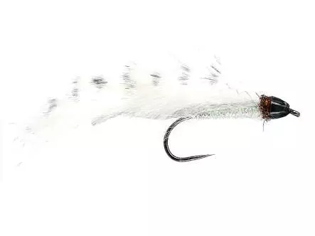 Competition CH Zonker White Barred TG