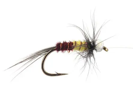 River Pheasant Duo Peacock Head