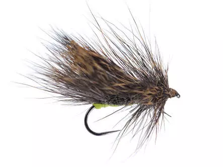 Large Bushy DH Attractor BL