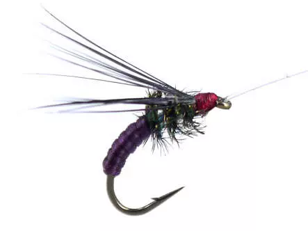 Franz Bipeack Claret