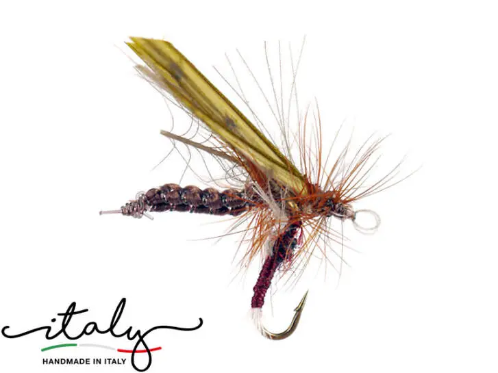 Zepetto & Chiro Emerger - 14 mm