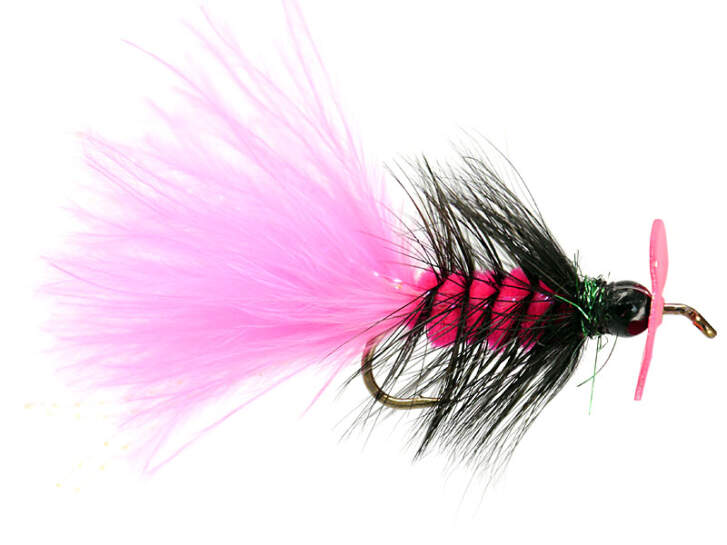 Pink Hot Wooly Bugger Evo