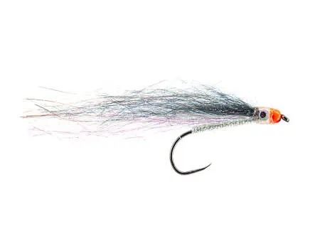 Orange Spotted UV Sheriff Black White BL