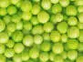 HIGH VIZ POLY BALLS hotfly - 7 / 9 mm - chartreuse