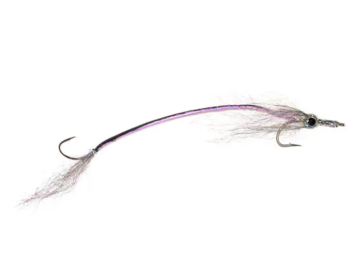 Young Needlefish 2
