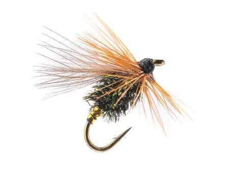 Cock-Y-Bondu CDC
