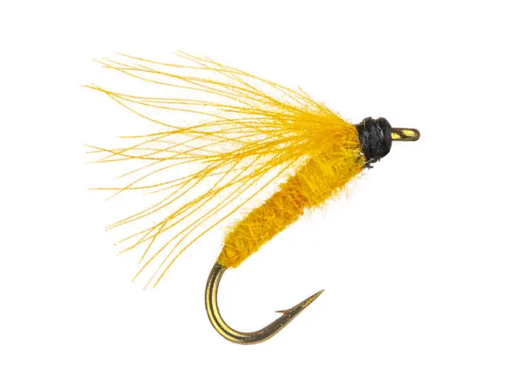 Sulphur Dun CDC 18