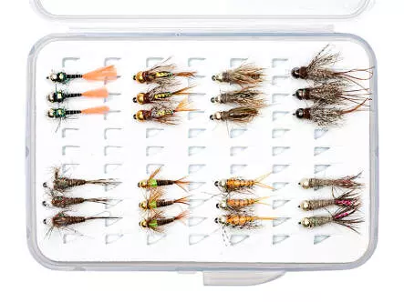 Set TUNGSTENNYMPHEN EVERY DAY - 24 Fliegen ohne...