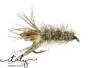 Tournament Peeping Caddis Weighted