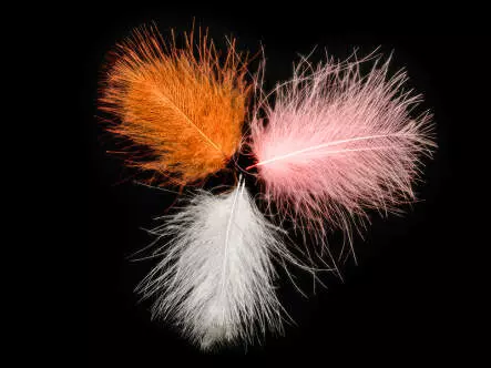 CDC Federn Cul de Canard SELECTED SMALL & DENSE...