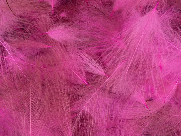 CDC Federn Cul de Canard SELECTED SMALL & DENSE hotfly - 1 g - light pink