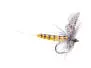 BWO 16