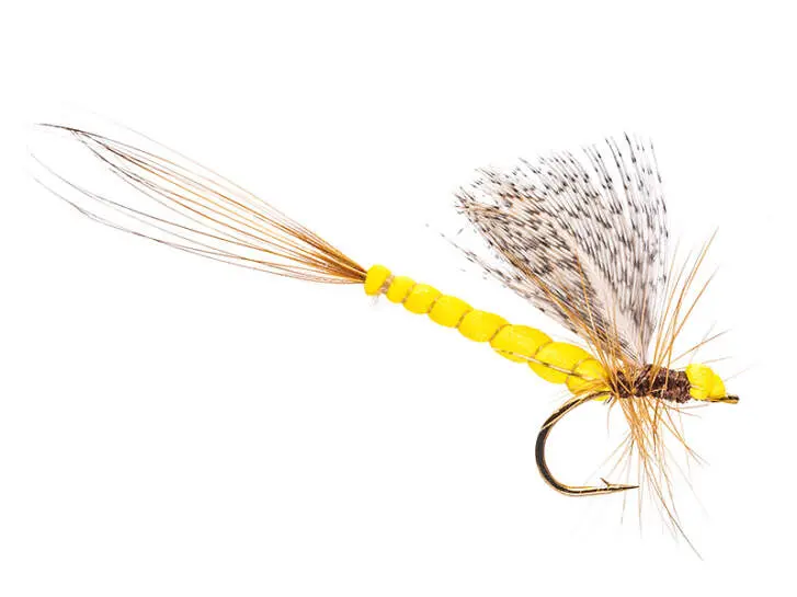 Yellow Mayfly Classic