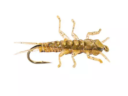 Stonefly Jig Golden
