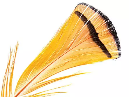 DIAMANTFASAN KOPF KOMPLETT hotfly