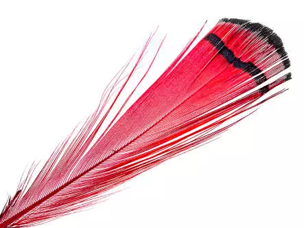 DIAMANTFASAN KOPF KOMPLETT hotfly