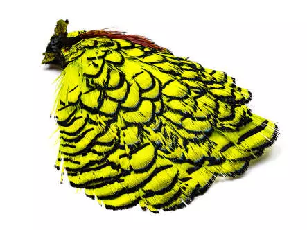 DIAMANTFASAN KOPF KOMPLETT hotfly