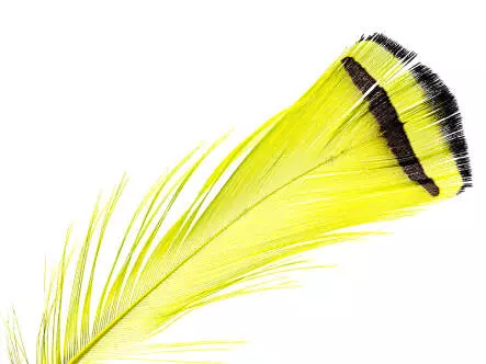 DIAMANTFASAN KOPF KOMPLETT hotfly
