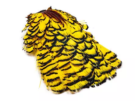 DIAMANTFASAN KOPF KOMPLETT hotfly