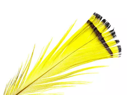 DIAMANTFASAN KOPF KOMPLETT hotfly