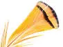 DIAMANTFASAN KOPF KOMPLETT hotfly