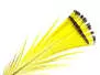 DIAMANTFASAN KOPF KOMPLETT hotfly