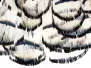 DIAMANTFASAN KOPF KOMPLETT hotfly - white natural UV