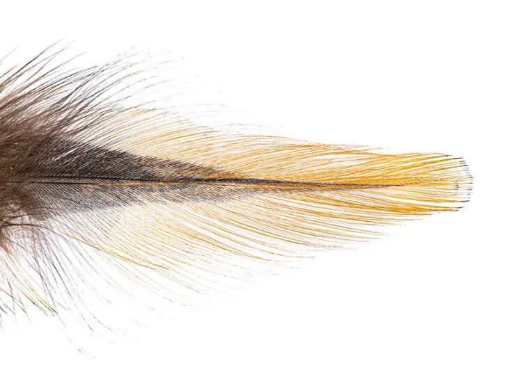 FEDERN COQ DE LEÒN PARDO grade 2 hotfly - 10 pz. - flor escoba poca penca