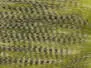 BARRED CRAFT FUR hotfly - 80 / 100 mm - 150 x 80 mm - olive