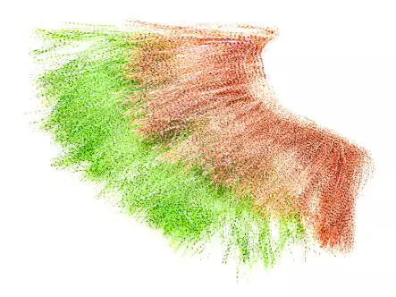 XXL PREDATOR BRUSH hotfly - black barred - 100 mm