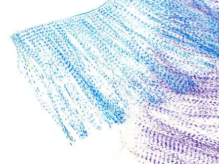 XXL PREDATOR BRUSH hotfly - clear barred - 100 mm