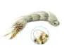 Articulated XXL Hecht & Huchenstreamer 25 cm Grey