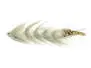 Articulated XXL Hecht & Huchenstreamer 25 cm Grey