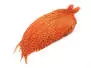 HAHNENBALG GRIZZLY PRO TYER hotfly