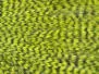 HAHNENBALG GRIZZLY PRO TYER hotfly - fluo chartreuse