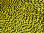 HAHNENBALG GRIZZLY PRO TYER hotfly - fluo yellow