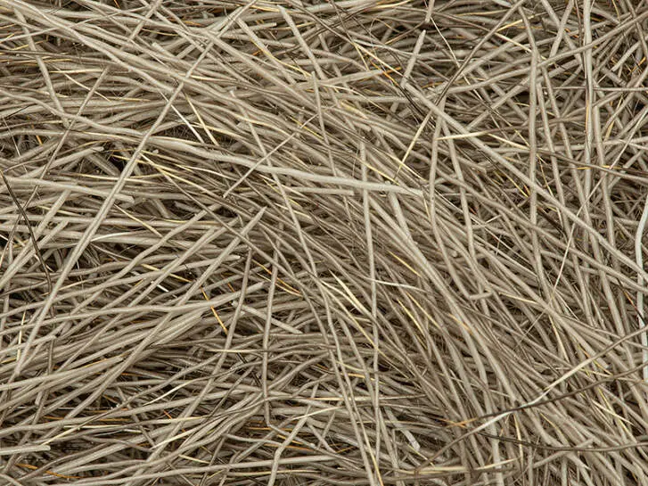 DEER HAIR DUBBING made in italy V2 hotfly - 1 g - natural