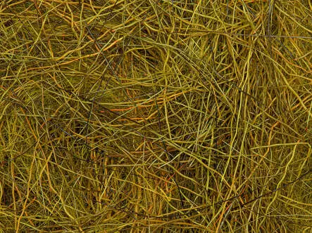 CHAMOIS HAIR DUBBING made in italy hotfly - 1 g
