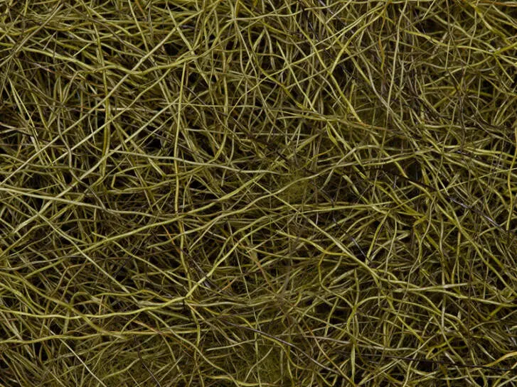 CHAMOIS HAIR DUBBING made in italy hotfly - 1 g - dark olive