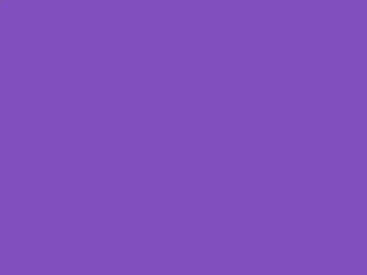 SOFT FOAM CYLINDERS hotfly - 5 pc. - Ø 6 mm x 40 mm - purple