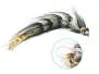 Articulated XXL Hecht & Huchenstreamer 25 cm Black