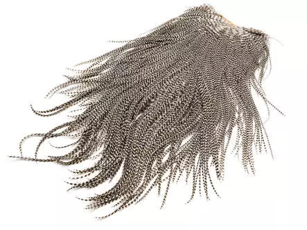 HAHNENSATTEL SADDLE keough hackles