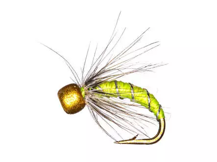 Forellen Hegene BRIGHT MIX 2