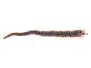 Lurevo Dragon Trailer brown multi - 18 cm