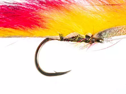 Snakefly Sayot TG Fire Tiger