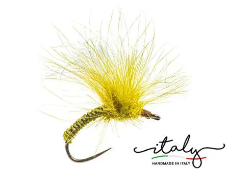 Morgans Fat Olive Beast
