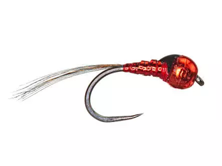 Double Red Pro Perdigon TB BL