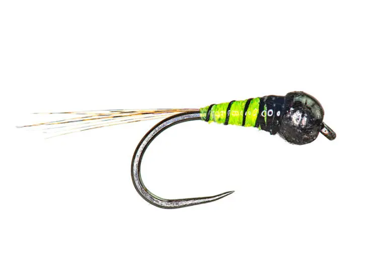Yellow Black Perdigon TB BL